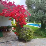 Max Villa *