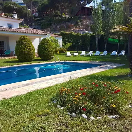 فيلة Max يوريت دي مار