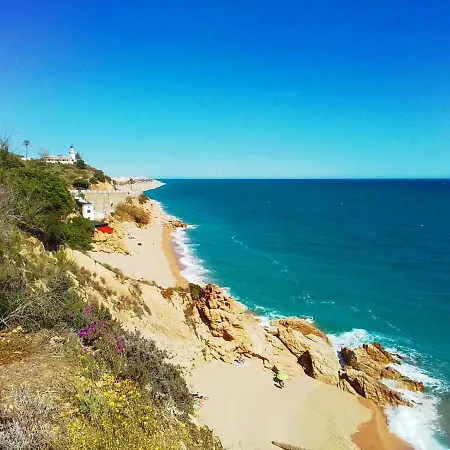 Max 别墅 滨海略雷特